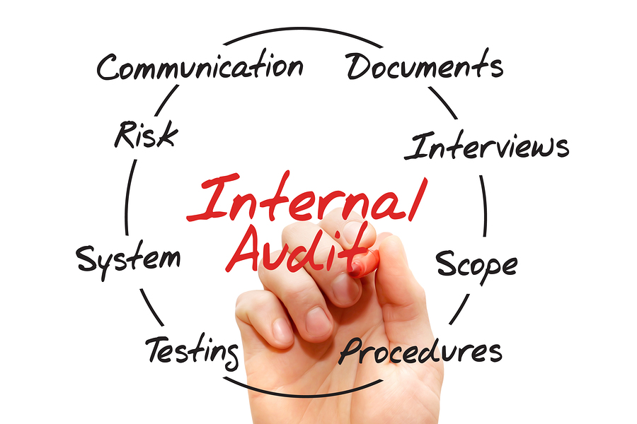 Read more about the article QMS Internal Audit